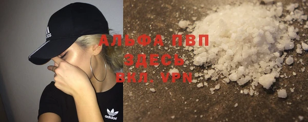 индика Богородицк