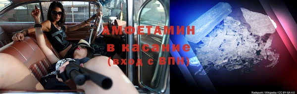 индика Богородицк