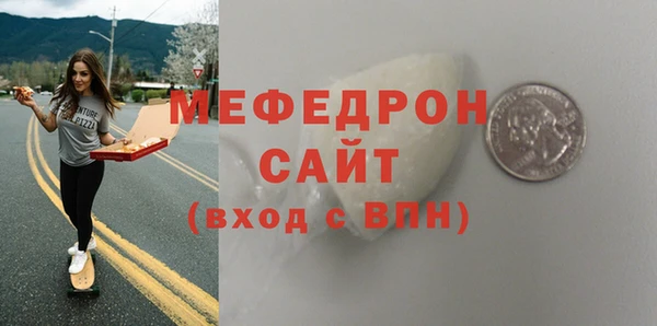 индика Богородицк