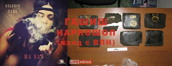 индика Богородицк