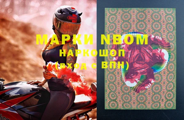 индика Богородицк