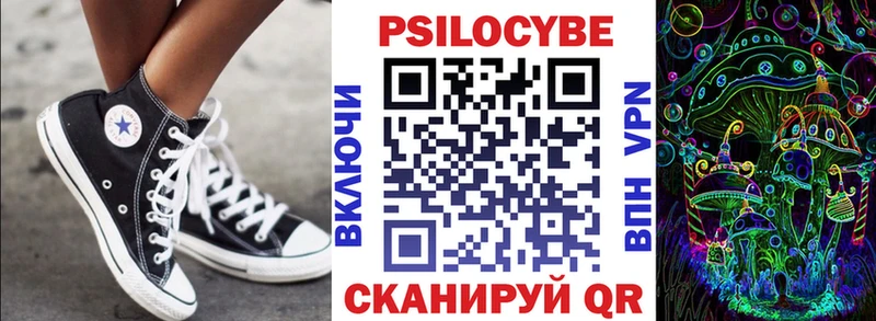 KRAKEN зеркало  Болотное  Псилоцибиновые грибы прущие грибы 